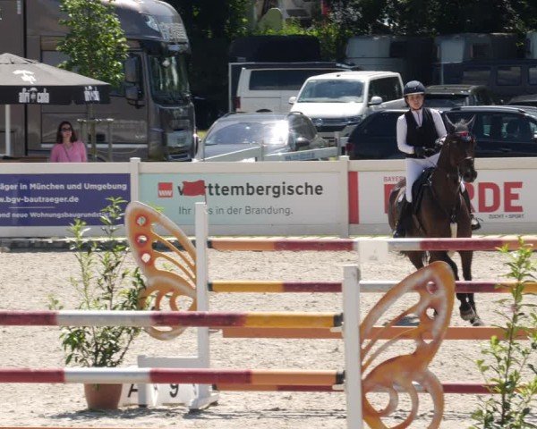 Reitturnier Babenhausen/Schw. 2025