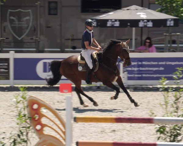 Reitturnier Babenhausen/Schw. 2025