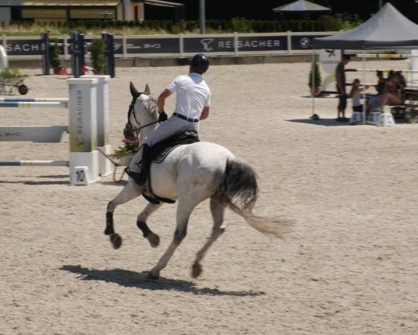 Reitturnier Babenhausen/Schw. 2025