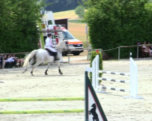 Reitturnier Großbardorf/Ufr. 2025
