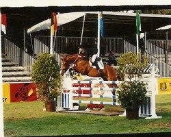 horse Butterfly (Westfale, from Boredo)