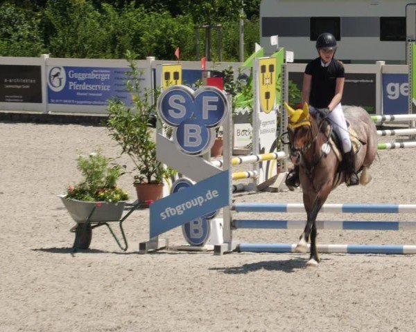 Reitturnier Babenhausen/Schw. 2025