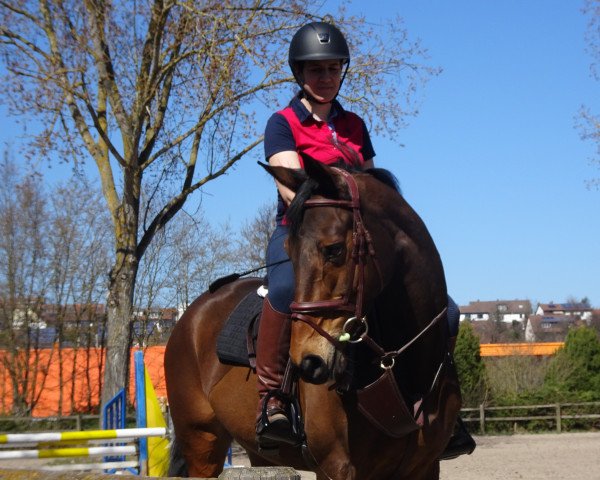 broodmare Kiliera (Trakehner, 2006, from Grafenstolz)