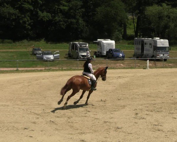 Reitturnier Bad Liebenstein/Sorga 2025