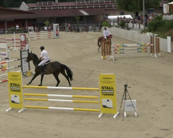 Reitturnier Uder, Reitanlage Kobold 2025