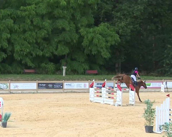 Reitturnier Tiefenhof/Opf. 2025