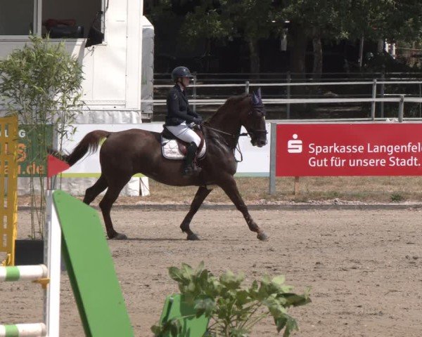 Reitturnier Langenfeld 2025