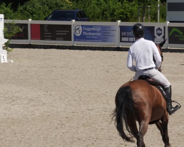 Reitturnier Babenhausen/Schw. 2025