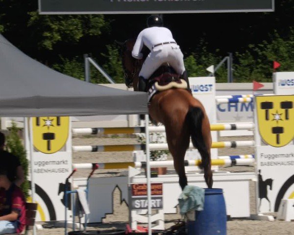 Reitturnier Babenhausen/Schw. 2025
