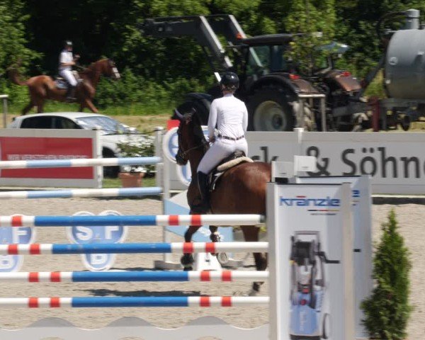 Reitturnier Babenhausen/Schw. 2025