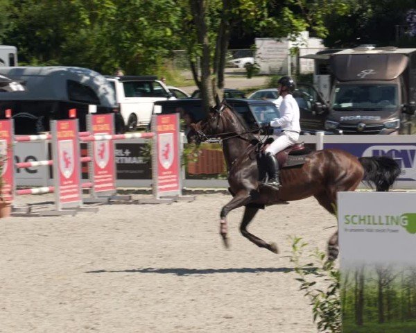 Reitturnier Babenhausen/Schw. 2025