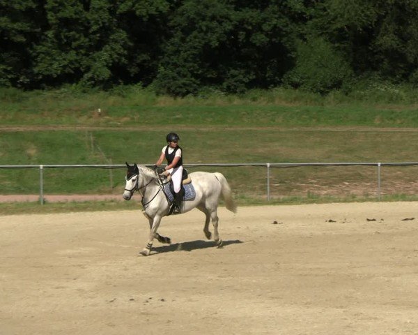Reitturnier Bad Liebenstein/Sorga 2025