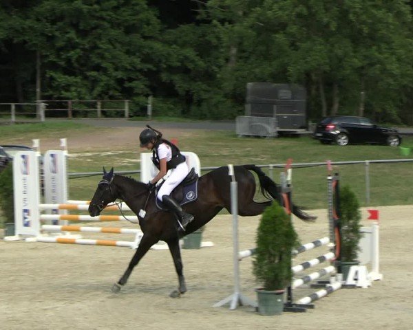 Reitturnier Bad Liebenstein/Sorga 2025