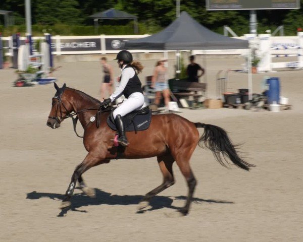 Reitturnier Babenhausen/Schw. 2025
