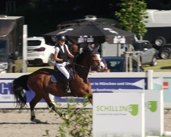 Reitturnier Babenhausen/Schw. 2025