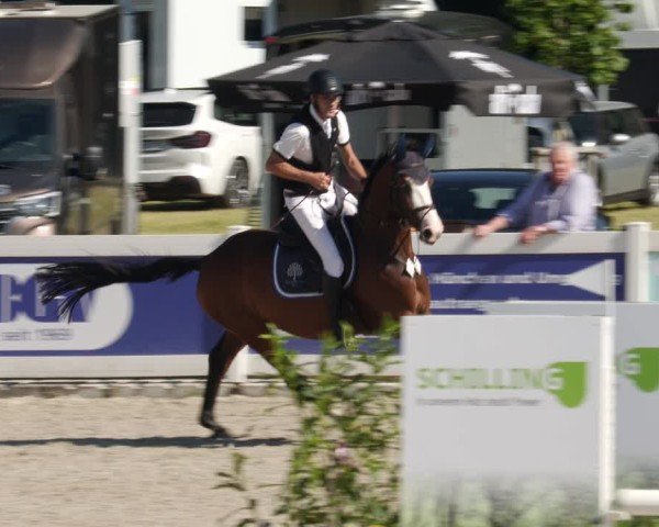 Reitturnier Babenhausen/Schw. 2025