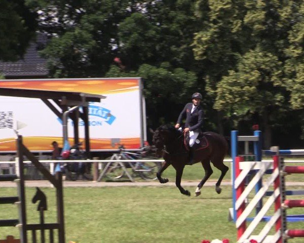 Reitturnier Schwittersdorf-Beesenstedt 2025