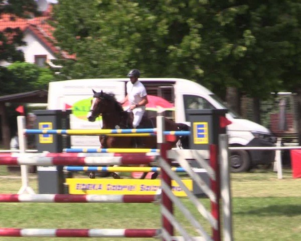 Reitturnier Schwittersdorf-Beesenstedt 2025