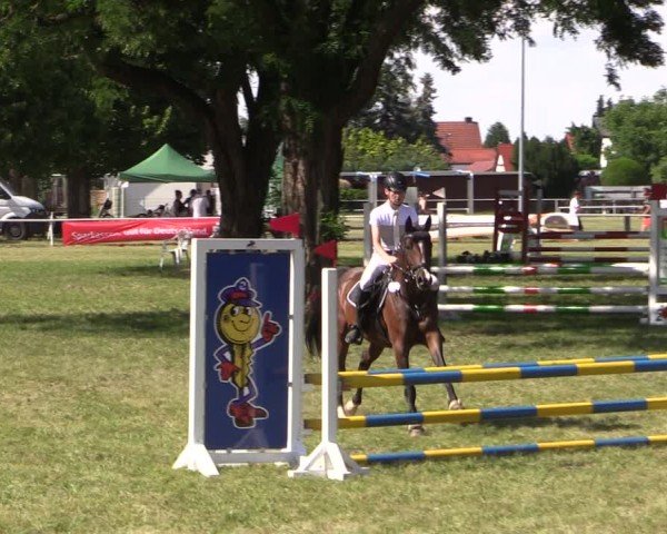 Reitturnier Schwittersdorf-Beesenstedt 2025