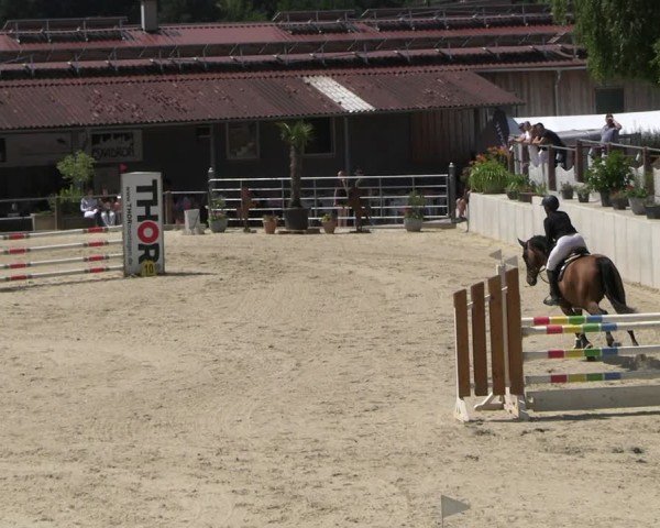 Reitturnier Uder, Reitanlage Kobold 2025