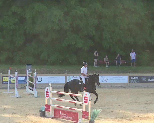 Reitturnier Tiefenhof/Opf. 2025
