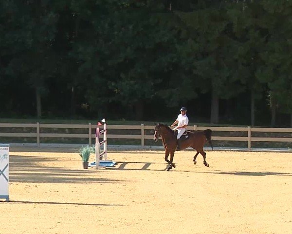 Reitturnier Tiefenhof/Opf. 2025