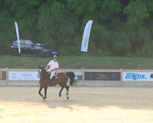 Reitturnier Tiefenhof/Opf. 2025