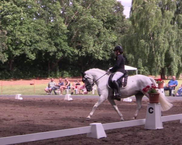 Reitturnier Schwittersdorf-Beesenstedt 2025