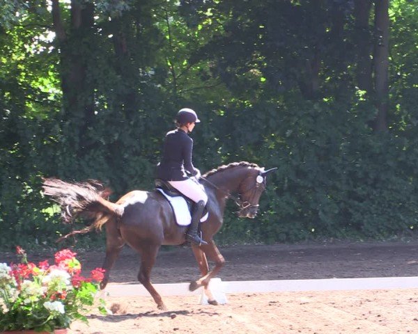 Reitturnier Schwittersdorf-Beesenstedt 2025