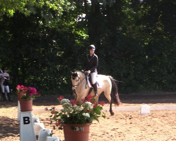 Reitturnier Schwittersdorf-Beesenstedt 2025