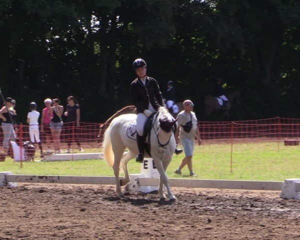 Reitturnier Schwittersdorf-Beesenstedt 2025