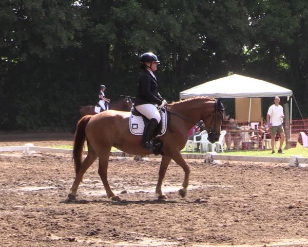 Reitturnier Schwittersdorf-Beesenstedt 2025