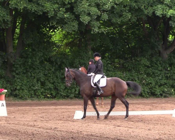 Reitturnier Schwittersdorf-Beesenstedt 2025