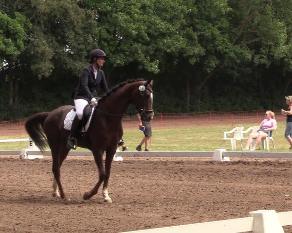 Reitturnier Schwittersdorf-Beesenstedt 2025