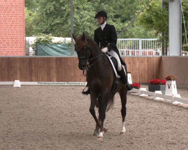Reitturnier Langenfeld 2025