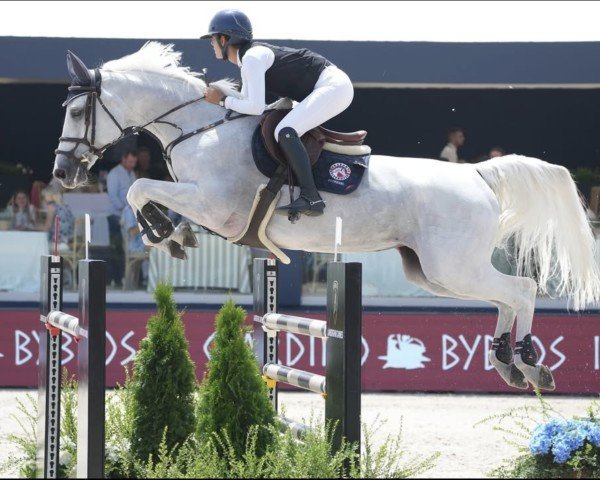 Springpferd Cassandra Z (Zangersheide Reitpferd, 2013, von Cumano)