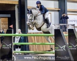jumper It's Me (KWPN (Royal Dutch Sporthorse), 2013, from Modesto)