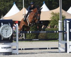 jumper Boheme Ax (Danish Warmblood, 2018, from Bentley van de Heffinck)