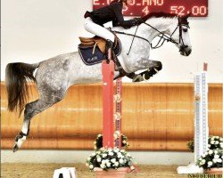 jumper Corbreka (Italian Warmblood, 2012, from Corland)