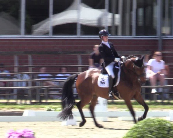 Reitturnier Langenfeld 2025