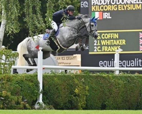 Springpferd Kilcorig Elysium (Irish Sport Horse, 2015, von Cornet Obolensky)