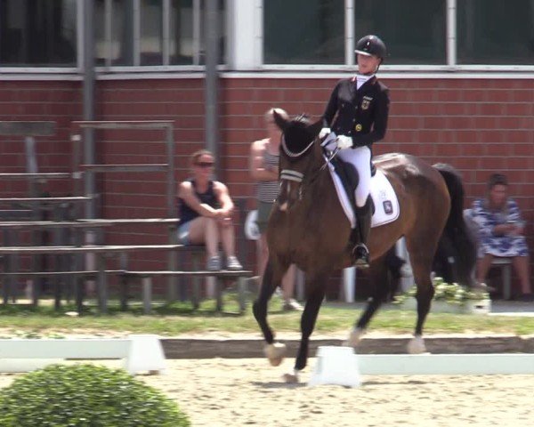 Reitturnier Langenfeld 2025
