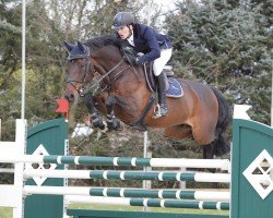 jumper Lili 02 (KWPN (Royal Dutch Sporthorse), 2001, from Lux Z)