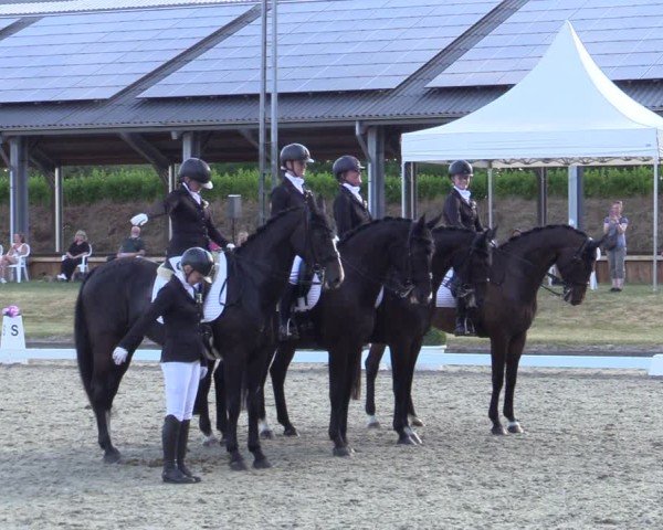 Reitturnier Langenfeld 2025