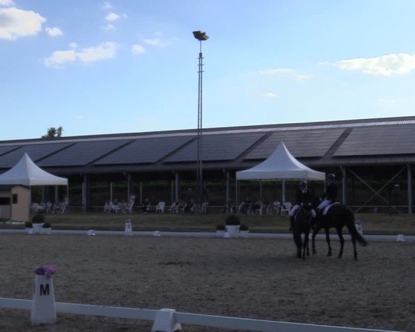 Reitturnier Langenfeld 2025