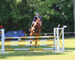 broodmare TH Bon Voyage (Holsteiner, 2009, from Landos)