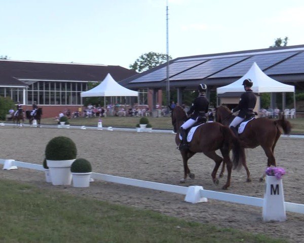 Reitturnier Langenfeld 2025