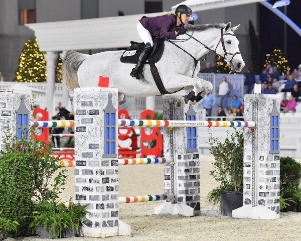 jumper MTM Apple (Danish Warmblood, 2011, from Favorit Ask)