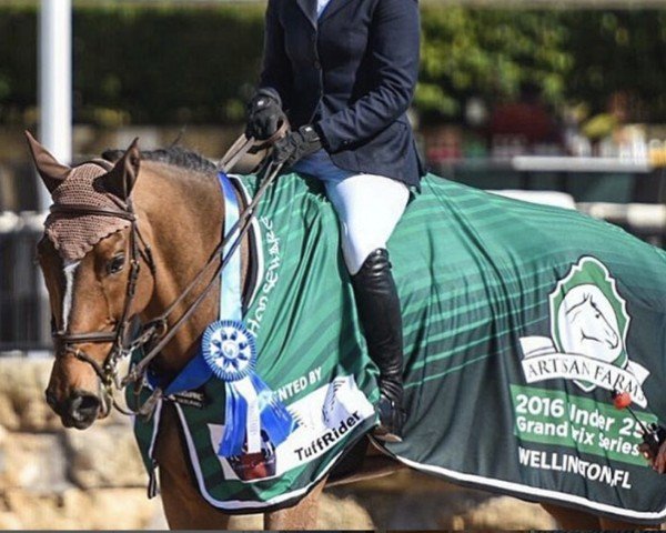 jumper Zidane 26 (KWPN (Royal Dutch Sporthorse), 2004, from Sam R)