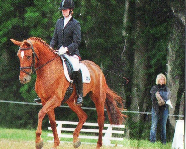 horse Filandra (Oldenburg, 2005, from Sandro Song)